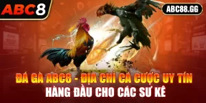 Đá gà ABC8 - Địa chỉ cá cược uy tín hàng đầu cho các sư kê