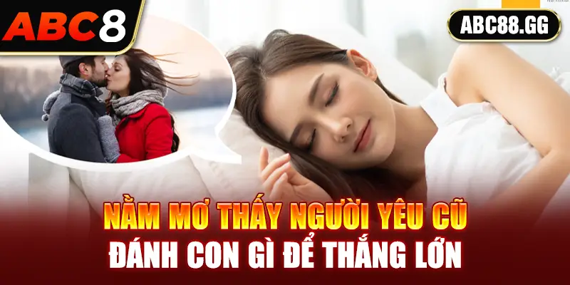 Nằm mơ thấy người yêu cũ đánh con gì để thắng lớn