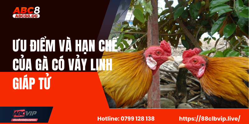 Ưu Điểm Và Hạn Chế Của Gà Có Vảy Linh Giáp Tử