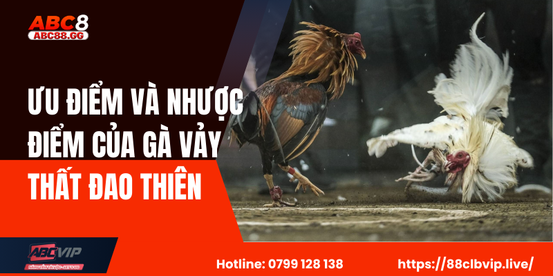 Ưu Điểm Và Nhược Điểm Của Gà Vảy Thất Đao Thiên